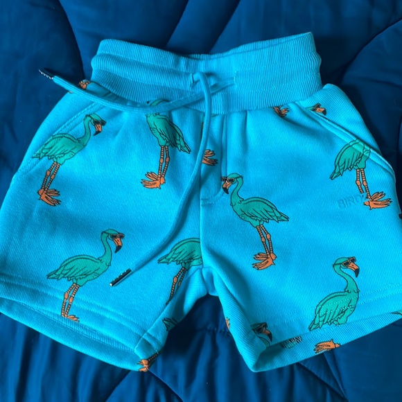 3/$20! NWT BIRDZ toddler boy size 2 flamingo shorts! Palm tree fun! - Picture 1 of 6